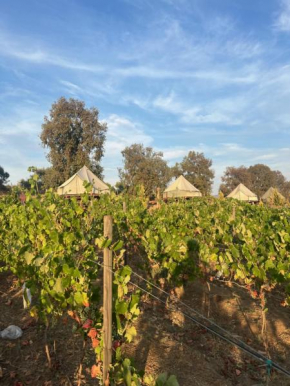 Lago Valle Wine Glamping